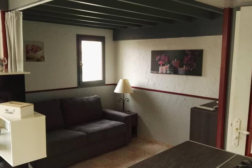 Studio Mezzanine En Residence Avec Piscine Au Village Ле-Баркарес Екстер'єр фото